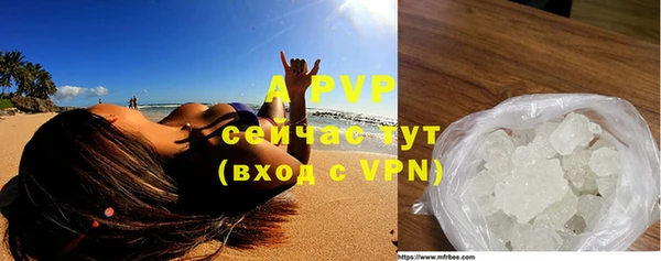 мдпв Горняк