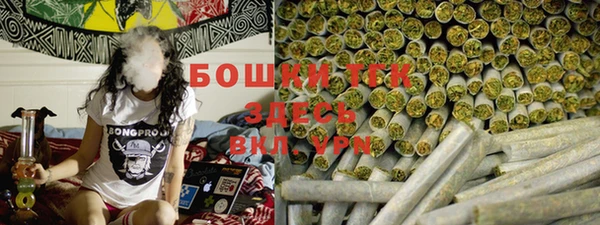 мдпв Горно-Алтайск